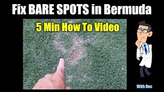 Bermuda Grass Repair  QUICK Bare Spot Repair [upl. by Airotciv]