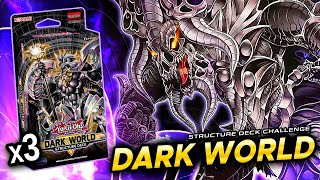 DARK WORLD Deck 🌀 BUDGET💲 Structure Deck Dark World x3 VERSION EDOPRO Duels [upl. by Sidonnie]