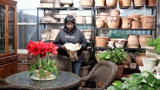 DONT WATCH THIS VIDEO WATCH THE CORRECTED VERSION  NEW POTTERY SHOPPING Garden Queen [upl. by Che]