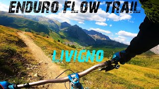 MTB Enduro FLOW single Trail INFINITO a Livigno [upl. by Lerrad688]