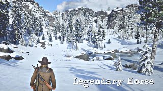 RDR2  Chapter 2  Episode 29  How to Get Legendary Horse [upl. by Genevieve]