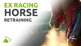 Ex Racing Horse Retraining  Step by Step Guide  wehorse [upl. by Eidorb183]