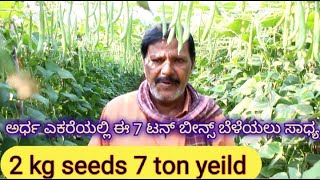 ಕೇವಲ ಅರ್ಧ ಎಕರೆಯಲ್ಲಿ 7 ಟನ್ ಬೀನ್ಸ್ ಬೆಳೆದ ರೈತರು 7 ton beans in 2000 sqmtrsuccessfull farming [upl. by Htiel]