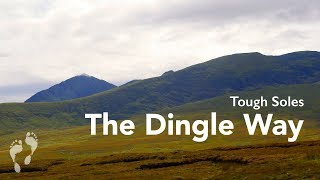 The Dingle Way 👣 The Best of Ireland [upl. by Nimar]