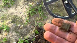 Tesoro tejon metal detecting1 [upl. by Corabelle]