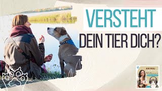 Tierkommunikation Woher weißt du dass deine Botschaft beim Tier angekommen ist Podcast 213 [upl. by Antipas]