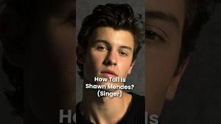 How Tall is Shawn Mendes Height [upl. by Elinore]