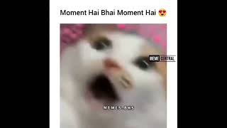 MOMENT HAI BHAI MOMENT HAI MEME TEMPLATE NO COPYRIGHT memetemplate memes viralmemes short [upl. by Ateiram]