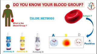 ABO blood typing ll slide method ll PATHOGENESIS ll Barmansir [upl. by Ahsilahs]