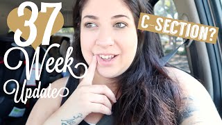 37 WEEK PREGNANCY UPDATE  Rainbow baby [upl. by Horatius]