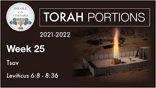 Torah Portions  Week 25  Tsav  Leviticus 68  836 20212022 Repost [upl. by Beaumont]