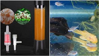 simple cheap and easy hatchery for brine shrimp eggs  easy artemia kit to hatch brine shrimps [upl. by Cheney]