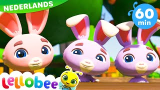 🐰 Paashaas tellen 🐰  Lellobee Nederlands  Kinderliedjes  Leervideos voor kinderen [upl. by Einahpad]