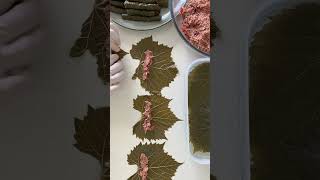 Wrap Vine Leaves with me lebanesefood [upl. by Dorolice]