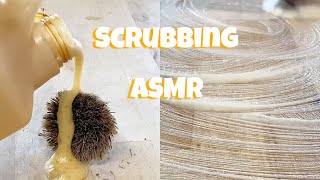 ASMR Brush Scrubbing  Let’s Clean Together [upl. by Naloj]