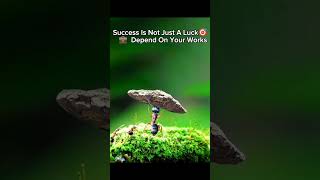 Success depend on your hard work youtubeshorts success work subscribe [upl. by Ynavoj]