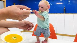 Baby monkey Jic Jic broke the Fruit Plate and got punished by dad [upl. by Seagrave]