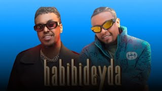 Rafary ft Sancho gebre habibideyda new ethiopian music [upl. by Sirtimed]