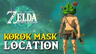 Zelda Tears Of The Kingdom Korok Mask Location Detects Nearby Korok Seeds [upl. by Ahtiek]