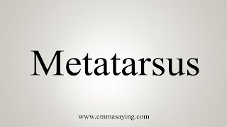 How To Say Metatarsus [upl. by Adnahs]