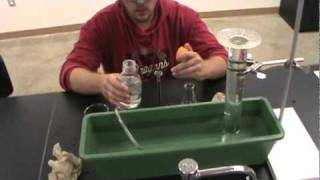 The Reaction of Aluminum with Hydrochloric Acid  Experimental Setup Reload [upl. by Dream]