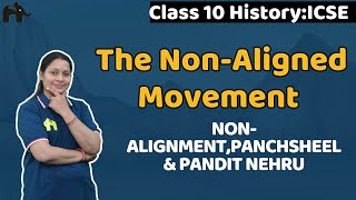 The NonAligned Movement Class 10 ICSE History  Selina Chapter 16  Factors NAM Panchsheel [upl. by Yliram494]