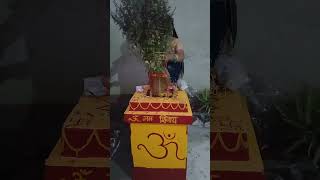 Tulsi Vivah pujanTulasi Vivah Puja Kaise kareshortvideo viralvideo shorts devotional [upl. by Saisoj]