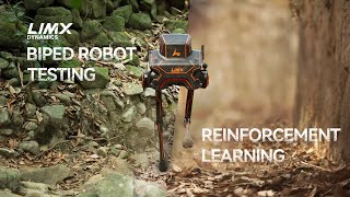 LimX Dynamics’ Biped Robot P1 Conquers the Wild Based on Reinforcement Learning [upl. by Veedis]