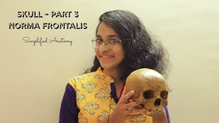 SKULL PART 3  NORMA FRONTALIS  ANATOMY  SIMPLIFIED ✔ [upl. by Hilarius762]