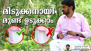 മിടുക്കനായി മുണ്ട് ഉടുക്കാം  How to wear a mundu in Kerala Style  South indian dhoti [upl. by Star]