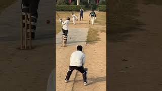 All are Beaten 🤔 cricket cricketlover [upl. by Dlorah]