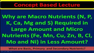 Why are Macro Nutrients Required in Large Amount and Micro Nutrients in Less Amount [upl. by Niccolo]