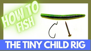 The Tiny Child Rig  Best PreSpawn Finesse Technique How to Rig [upl. by Eiggam]