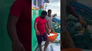 We Helped The Boat By Giving It Ice In The Deep Sea Shorts IndianOcean fishing [upl. by Helsie]