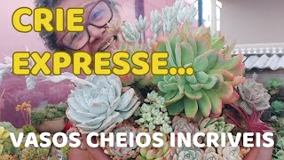 10 INCRÍVEIS VASOS CHEIOS DE SUCULENTAS  EXPRESSE SUA CRIATIVIDADE Saiba como [upl. by Carilla]