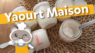 Secrets pour des yaourts maison parfaits [upl. by Adliw]