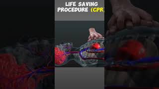 Cardiopulmonary resuscitation Life saving procedure short video [upl. by Nomyaw]