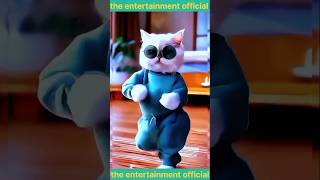 Cat hindi song dance🐈cat lovers cat cat dance short [upl. by Frame]