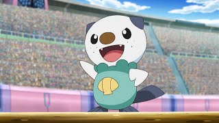 All Ashs Oshawott moves [upl. by Revart]