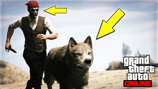 DES ANIMAUX TROUVÉS EN LIGNE EN 137  GTA 5 ONLINE [upl. by Aleunamme]