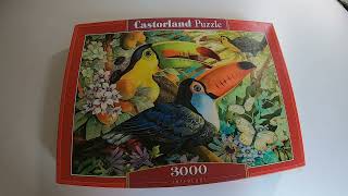 Time Lapse Puzzle Castorland Interlude 3000 [upl. by Tevis]