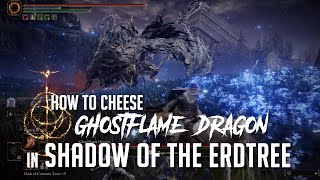 How to Cheese Ghostflame Dragon at the Cerulean Coast in Shadow of the Erdtree Easy Kill [upl. by Standing]