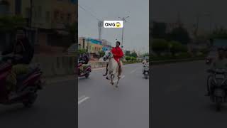 Horse riding video🏇 horse race  Hyderabad Horseshortsfeed viralvideo trendingshorts youtube [upl. by Maxima970]