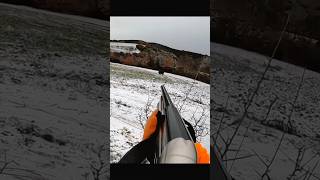 Охота на дикого кабана в снегу cinghiale chasse wildboar охота дикий кабанhunting [upl. by Ely]