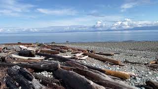 KIN BEACH PROVINCIAL PARK COMOX VALLEY [upl. by Resaec]