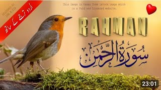 SURAH RAHMAN Ep 18 TURJUMA KI SATH QARE AL ABDUL BASIT [upl. by Carlin]