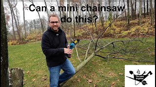 Is a Mini Chainsaw Worthwhile  Seesii 6”Review [upl. by Ilrak]