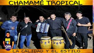 LOS MARISCALES DEL CHAMAME TROPICAL SESSIONES  3 [upl. by Ahsiemak]