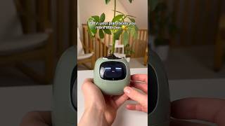 Perfect Gift for Plant Lover shorts plants plantsviralvideo [upl. by Hess]