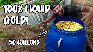 How to make LIQUID ORGANIC FERTILIZER for CHEAP with this COMPOST TEA BREWER [upl. by Gally]